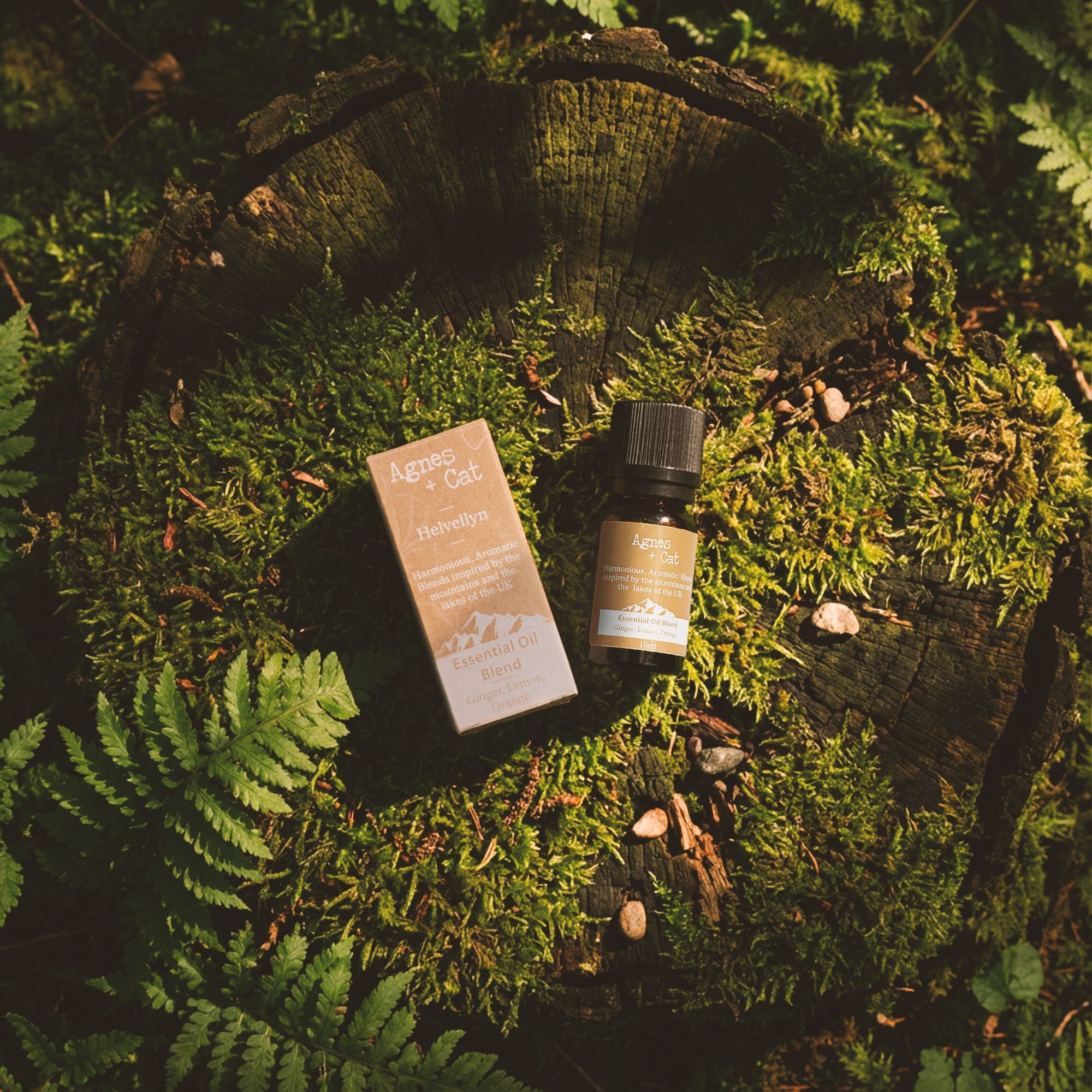Mélange d'Huiles Essentielles – Helvellyn – Gingembre, Citron et Orange